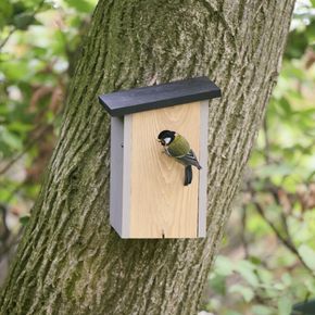 Alura Nestkast Elysia - grijs 32 mm