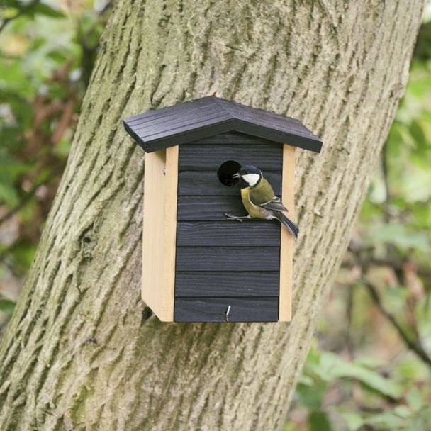 Nichoir Alura - Ventura - noir 32mm