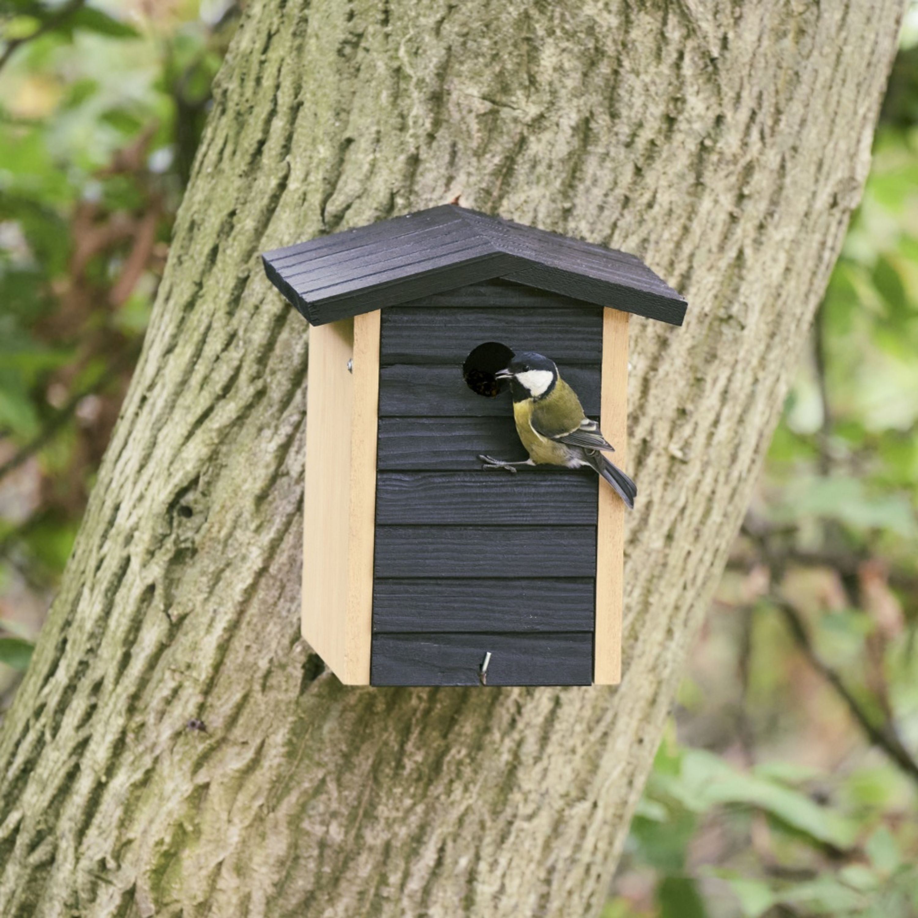 Comparer les prix de Nichoir Alura - Ventura - noir 32mm | CJ Wildlife