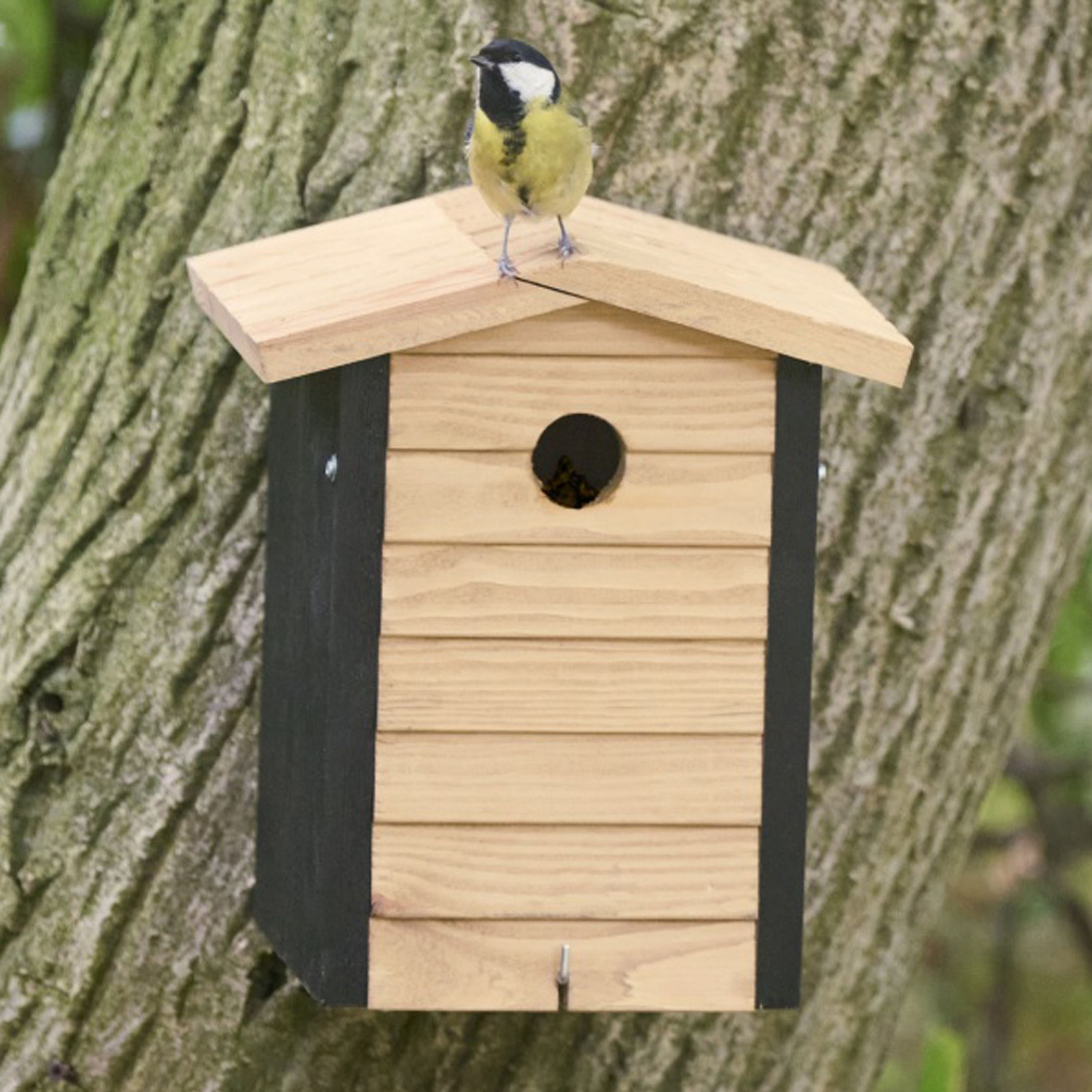 Alura Ventura Nestbox - Natural 32mm