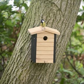 Alura Nestkast Ventura - naturel 32 mm