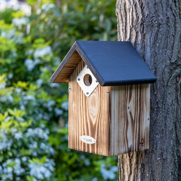 Protector Bandera Nest Box 32mm