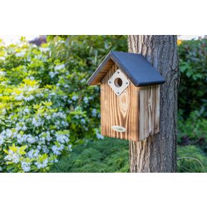 Nistkasten Bandera 32 mm mit Räuberschutz