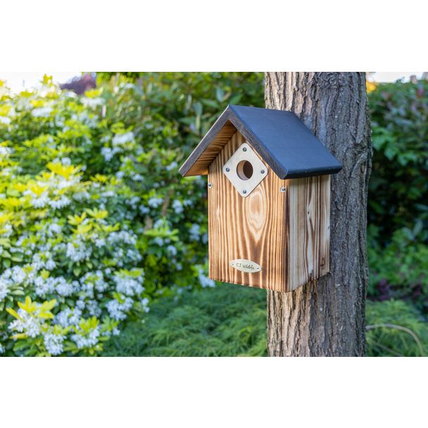 Nistkasten Bandera 32 mm mit Räuberschutz