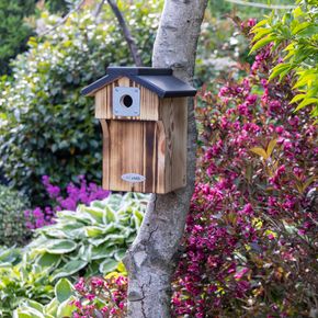 Nistkasten Galveston 32 mm mit Räuberschutz