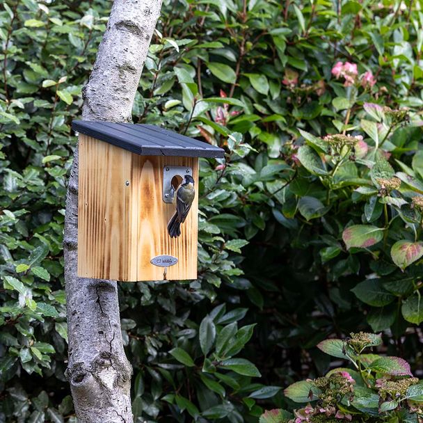 Nistkasten Beaumont 32 mm mit Räuberschutz