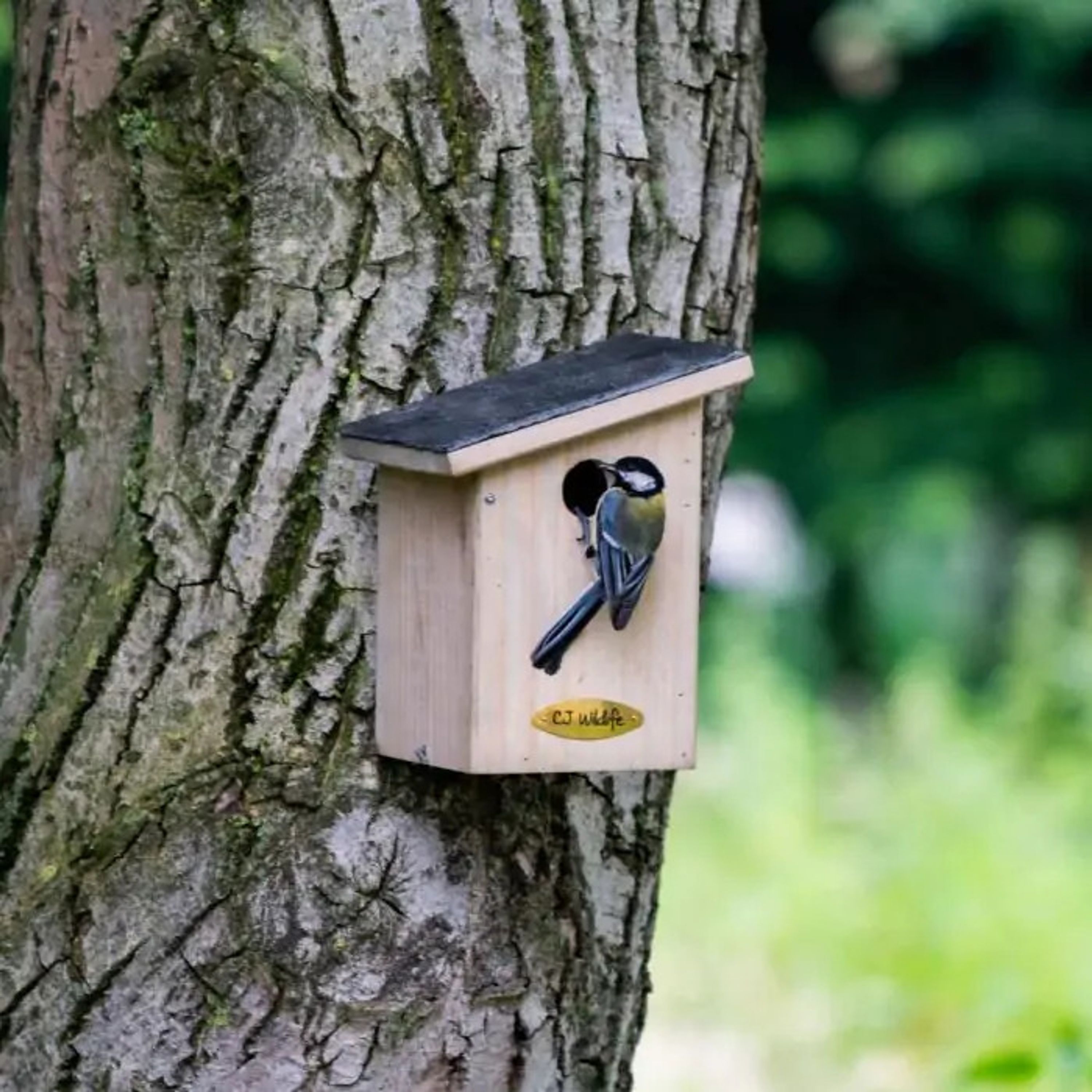 Nestkast Montana 32 mm |  | CJ Wildlife | Nestkasten en vogelhuisjes | Partner van Vogelbescherming 