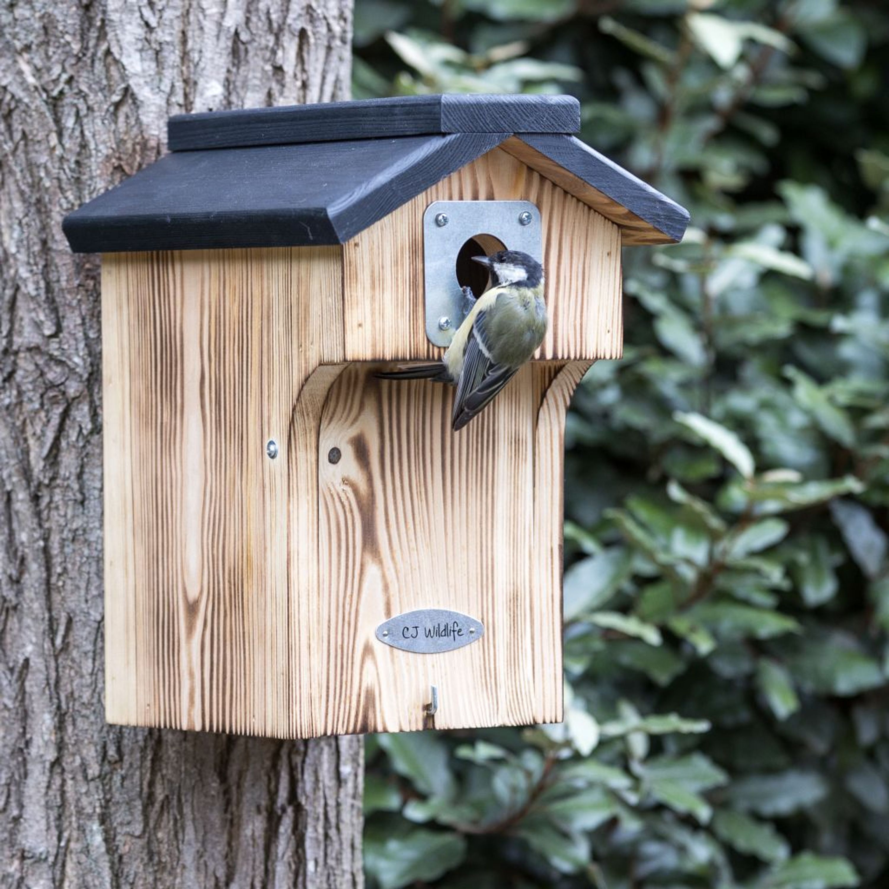 Meilleurs prix pour Protector - Nichoir Galveston 34mm | CJ Wildlife