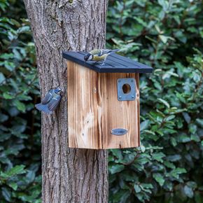 Nistkasten Beaumont 34 mm mit Räuberschutz