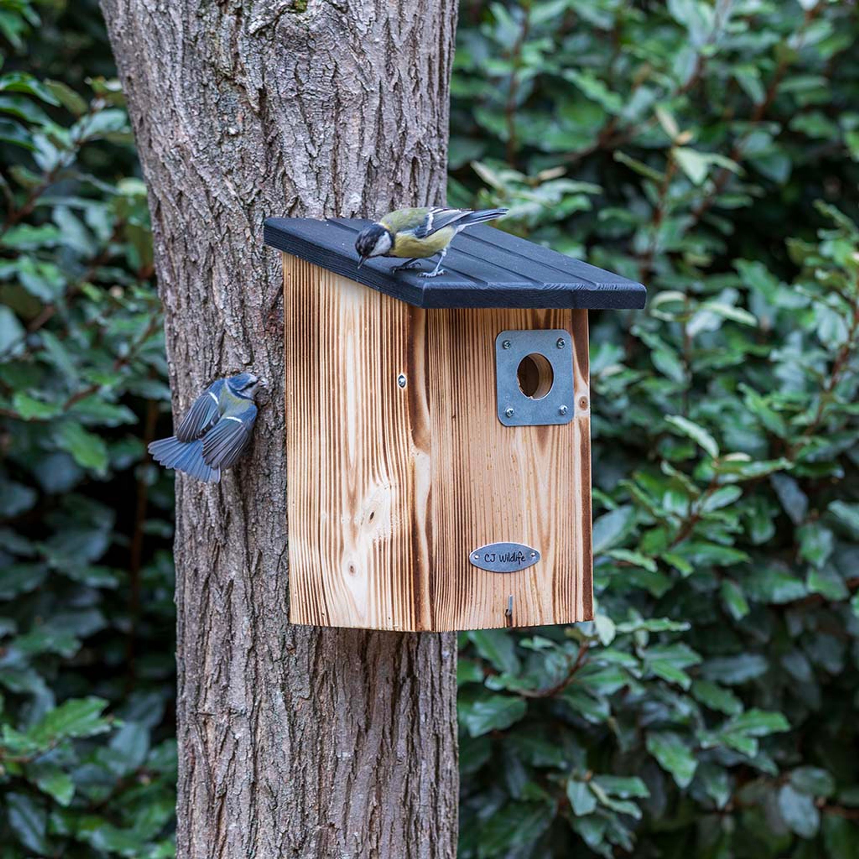 Comparer les prix de Protector - Nichoir Beaumont 34mm | CJ Wildlife