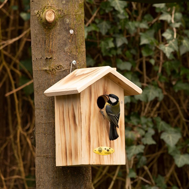 Natuurpunt Anson nestkast 34 mm