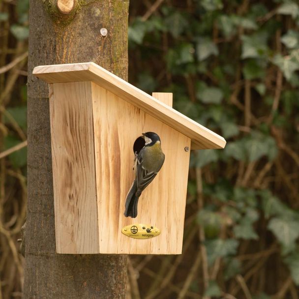 Natuurpunt Houten Nestkast Aldine 34mm