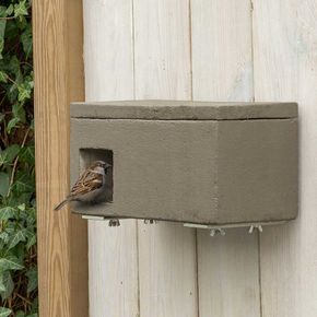 Redekasse WoodStone® til gråspurve