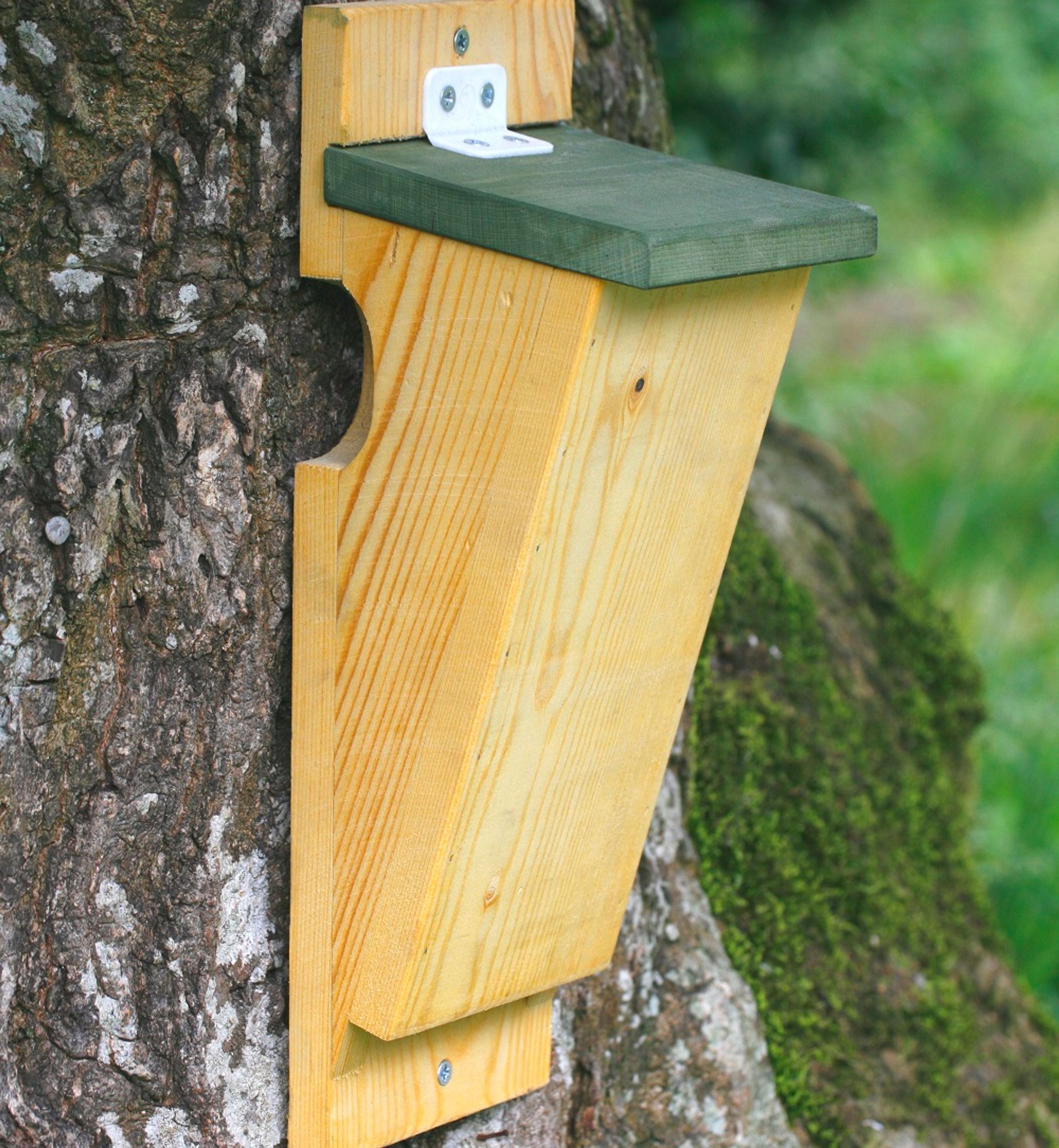 Nistkasten Baumläufer | Spezial-Nistkästen | CJ Wildlife