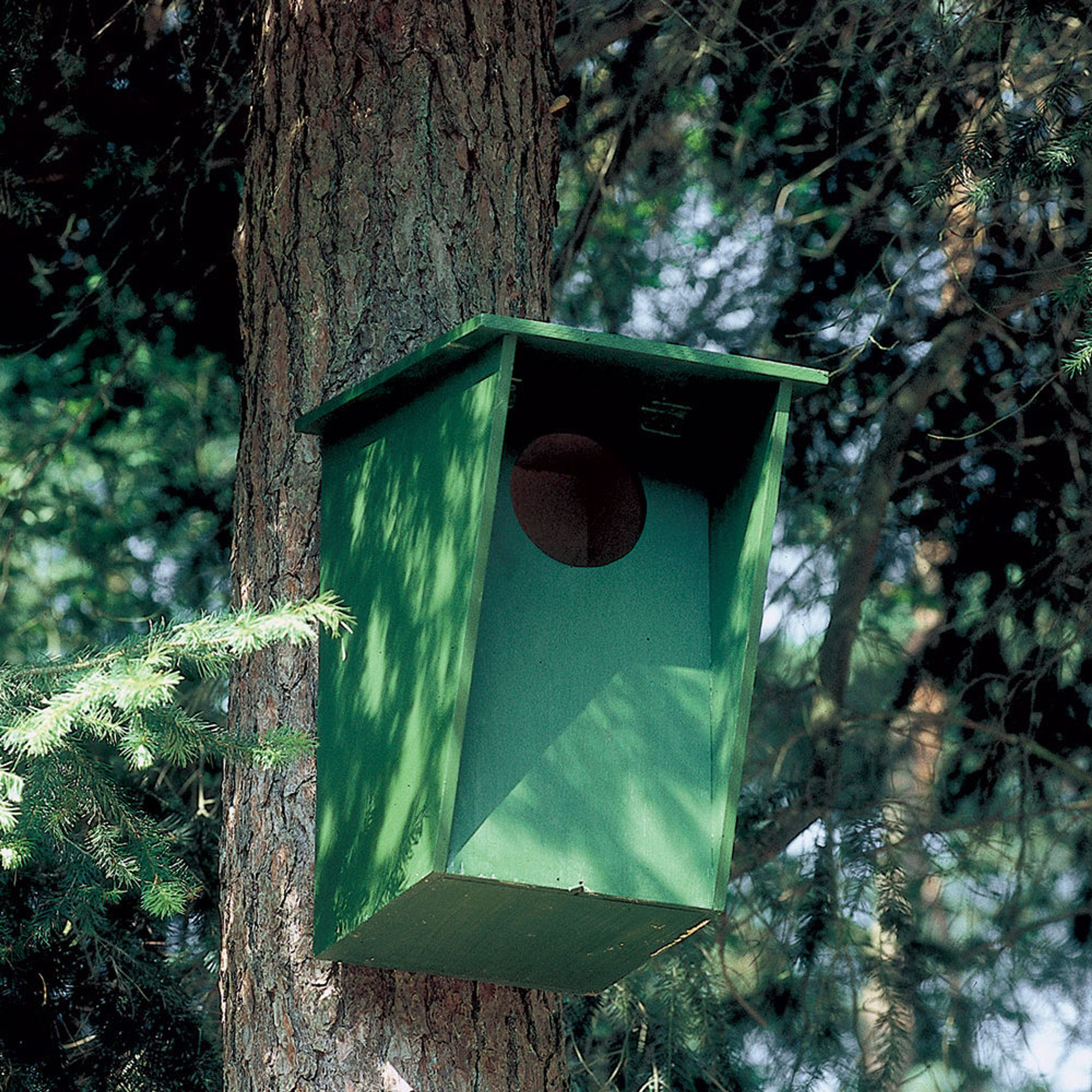 Nistkasten Waldkauz 130 mm | Spezial-Nistkästen | CJ Wildlife