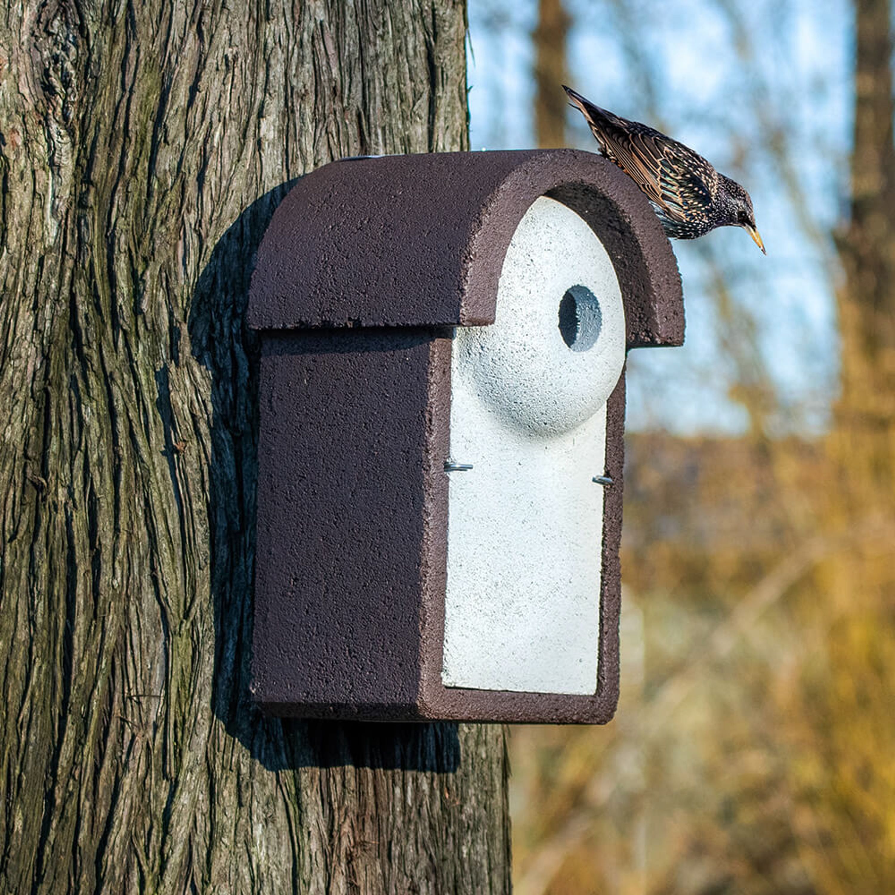 Nestkast Spreeuw WoodStone 45 mm | Speciale nestkasten | Vivara | Vogelhuisje voor spreeuwen | Gemaa