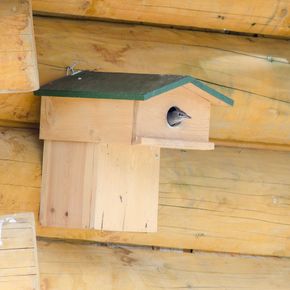 Starling Nest Box with Balcony