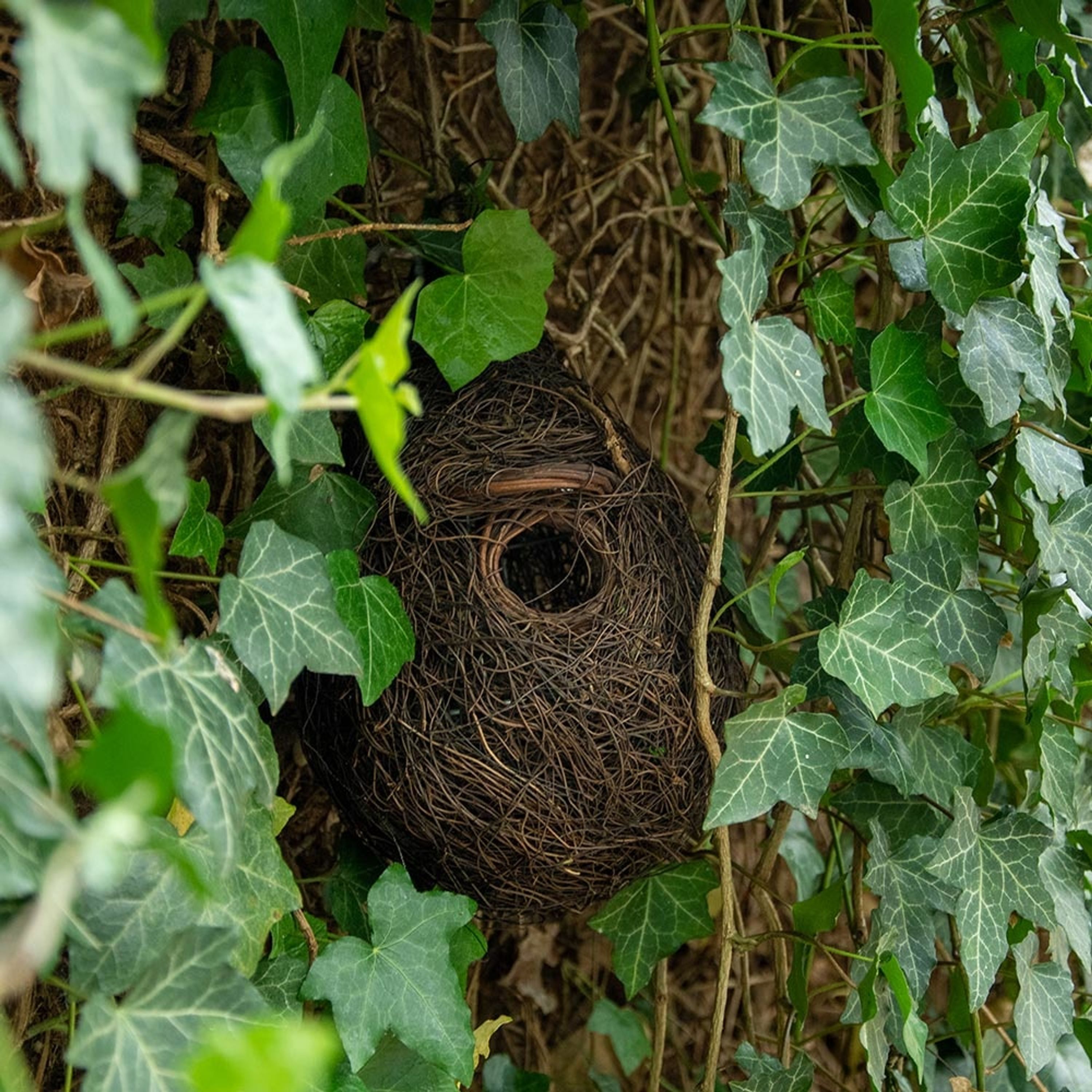 Unterschlupf für Vögel „Funchal“ 32 mm  | CJ Wildlife