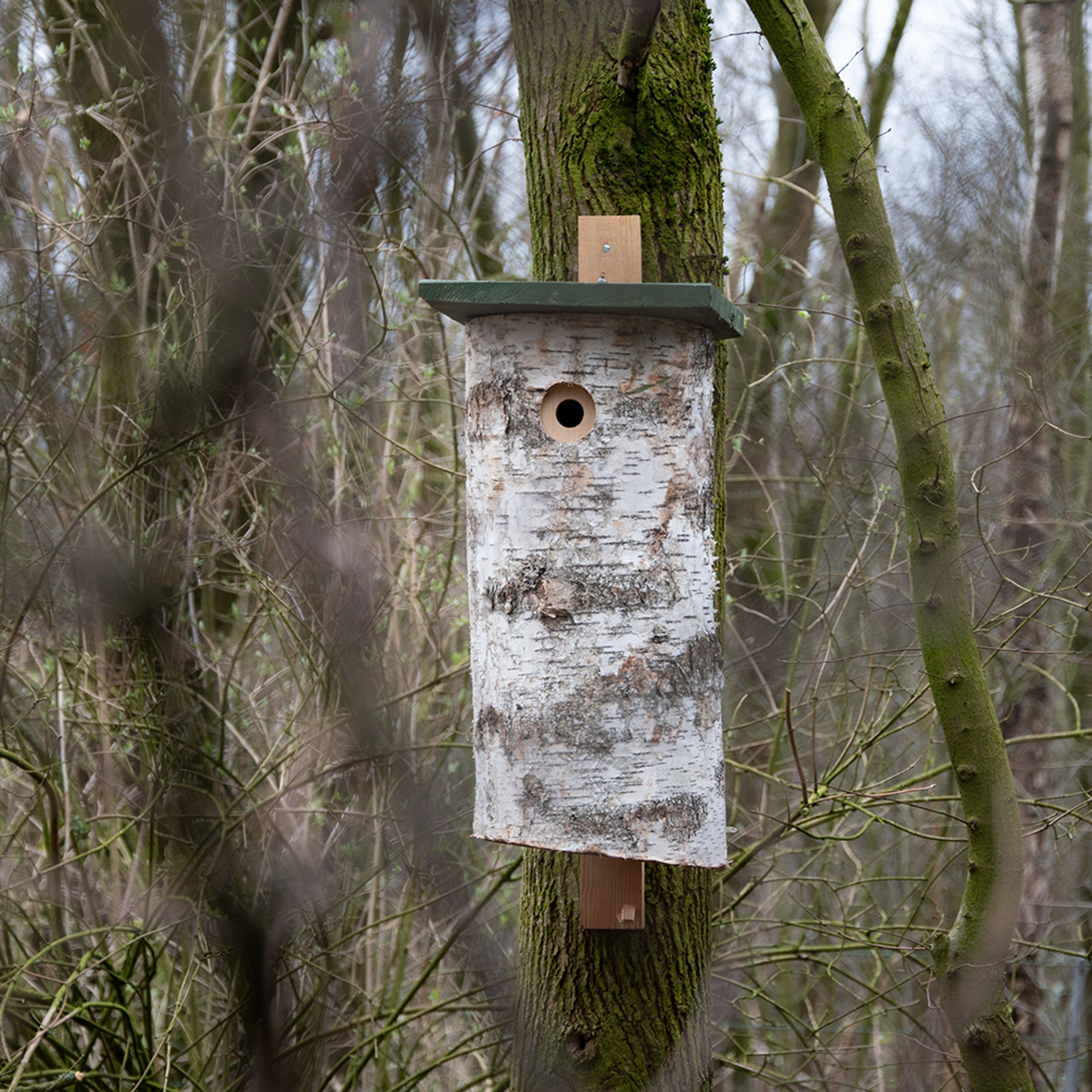 Comparer les prix de Nichoir pour Pics Malmö | Nichoirs Bouleau | Nichoir oiseaux | Aspect Naturel | Vivara