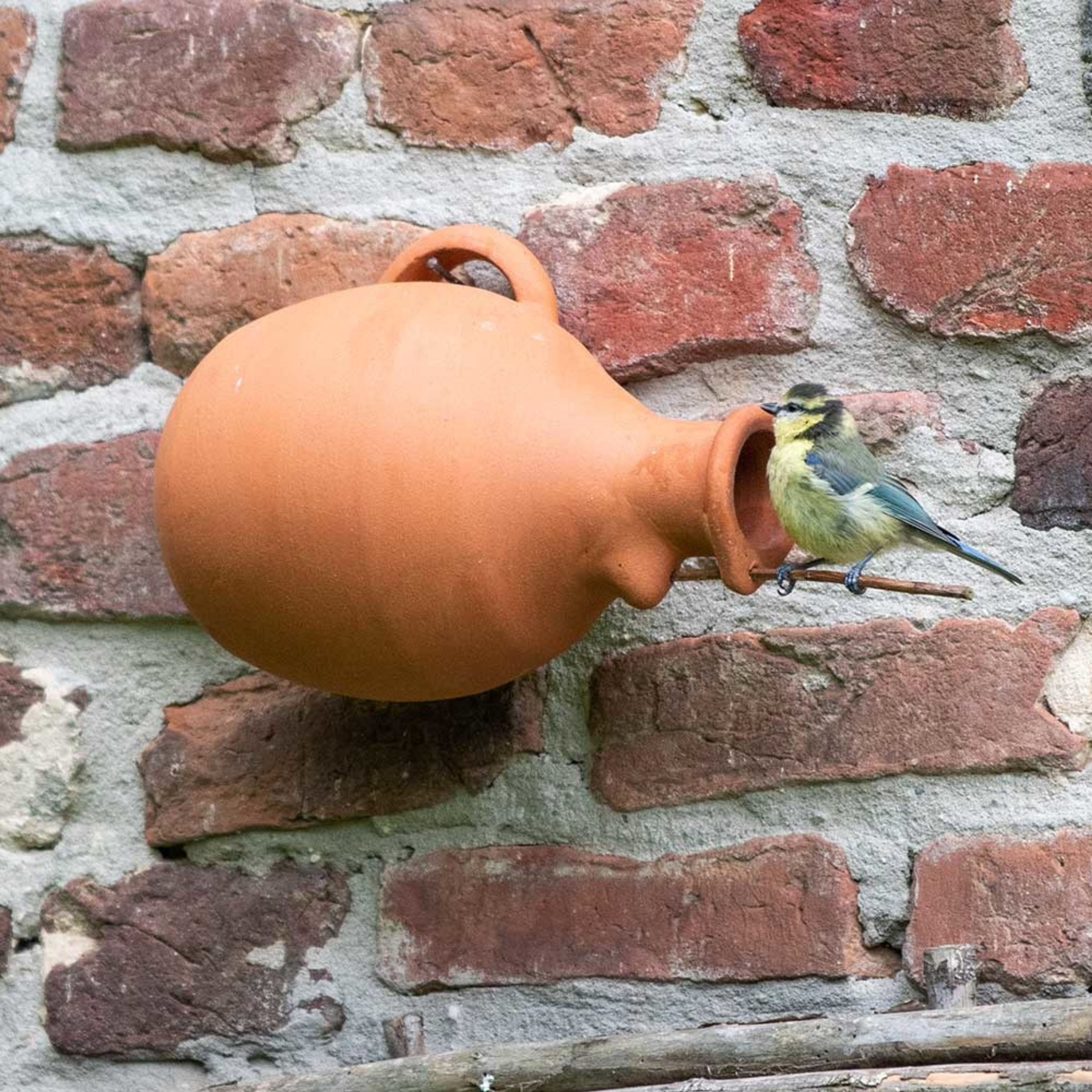 Nestkast Voor Mezen Terracotta Nester 32 mm | Fraaie Aardewerk Vogelhuisje Bijzonder Aantrekkelijk V