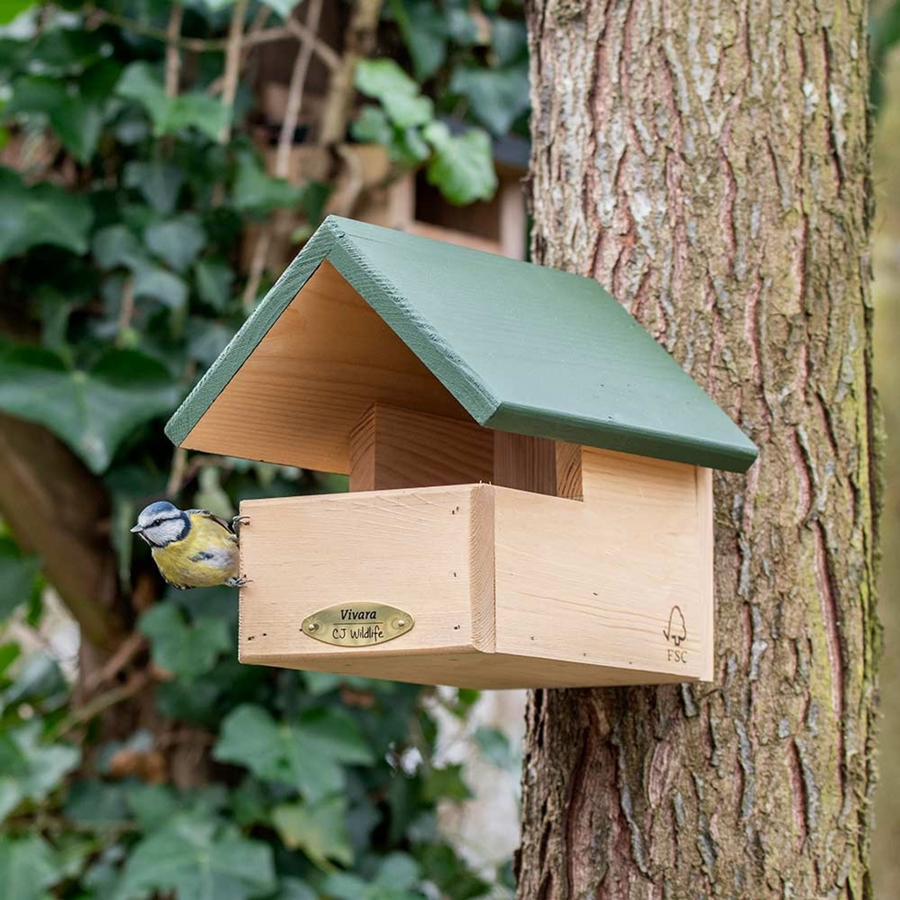 Meilleurs prix pour Nichoir semi-ouvert Mexique | Nichoir Semi Ouvert | Nichoir oiseaux | Cabanes à oiseaux | Nichoir bois | Vivara