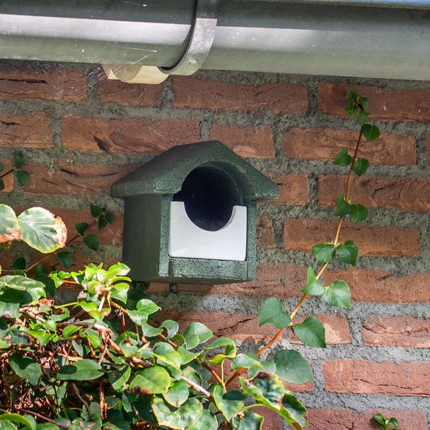 National Trust WoodStone Open Nest Box - Green