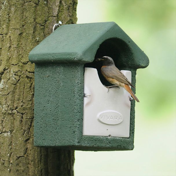 WoodStone Barcelona Open Nest Box - Green
