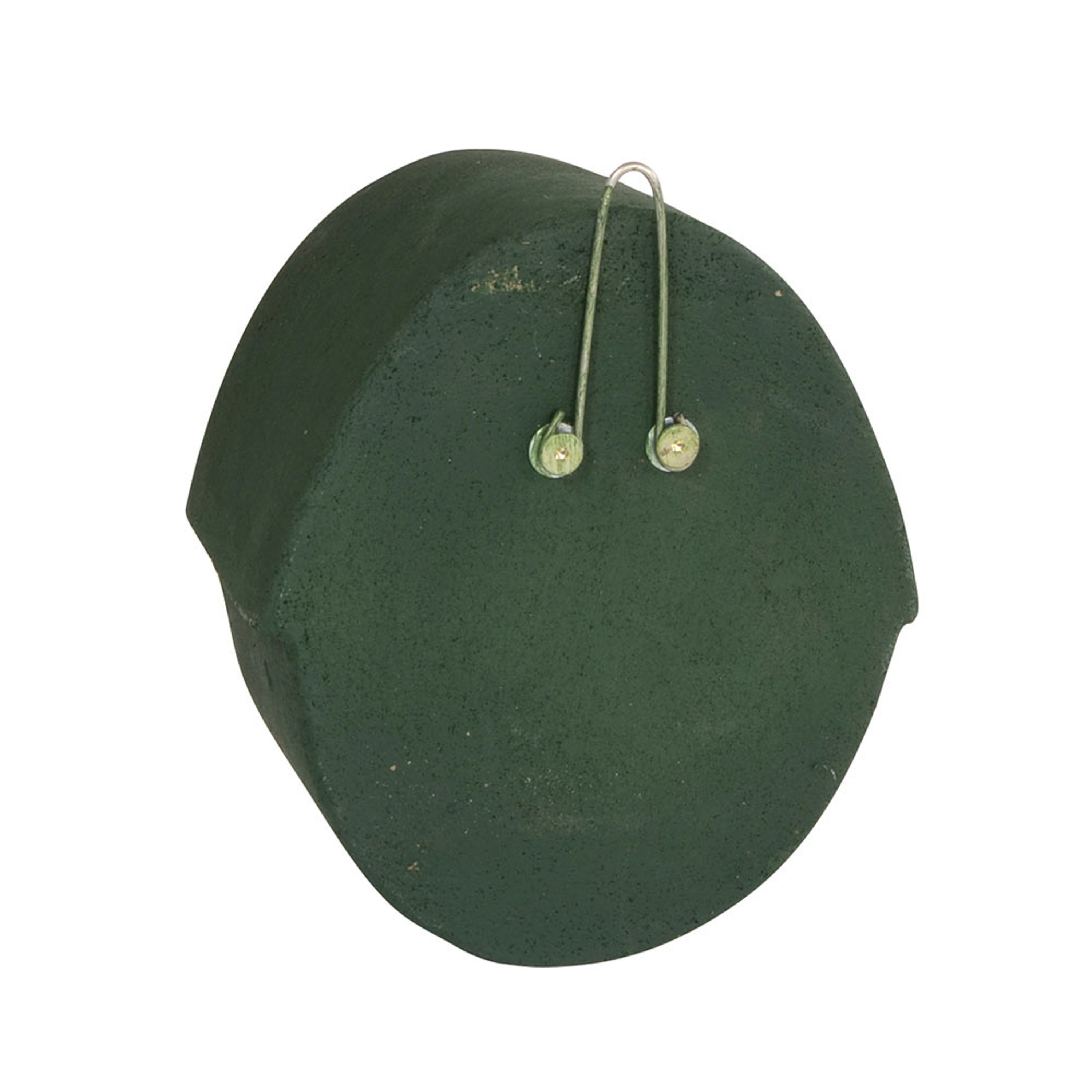 Nistkasten „Alicante“ WoodStone Halboffener Nistkasten Grün | Vogelhaus Holzbeton | CJ Wildlife