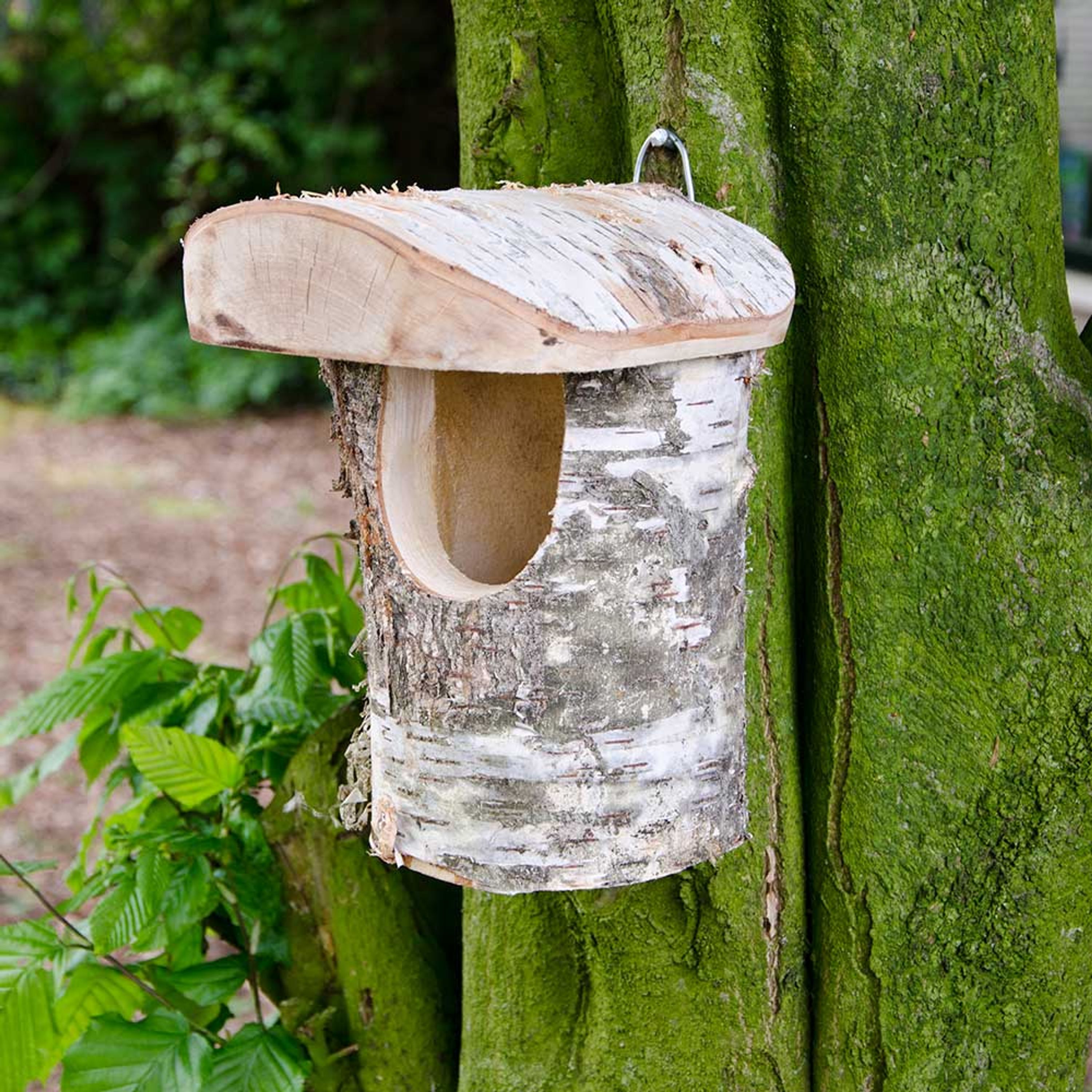 Nistkasten „Stockholm“ halboffen | Vogelhaus Birkenholz | CJ Wildlife