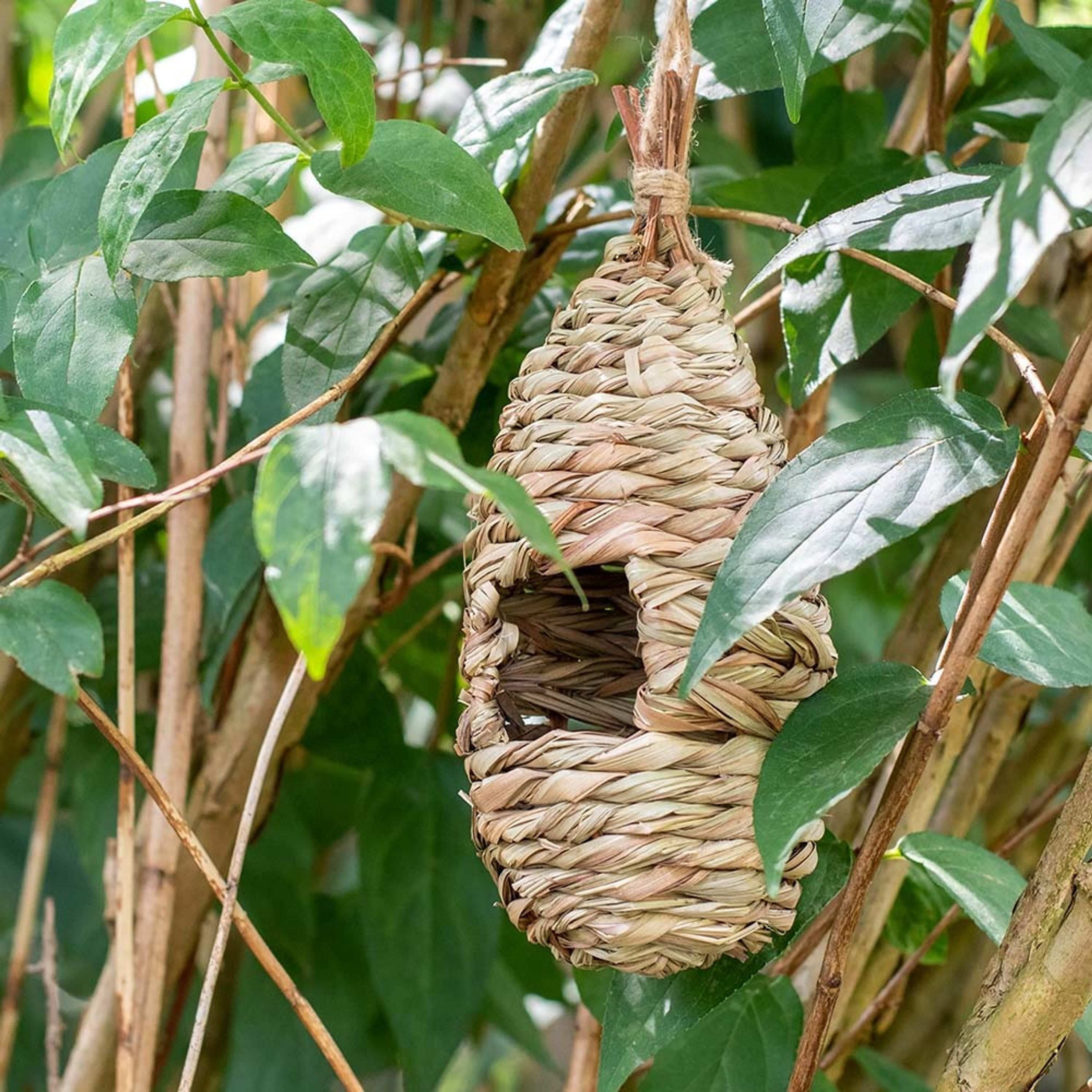 Vogelstube 1 Stk.  | CJ Wildlife