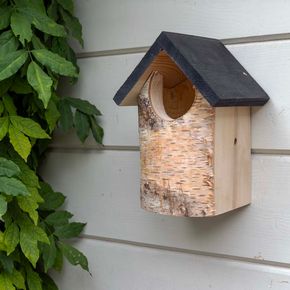 CJ Kingston Birch Nest Box - Open
