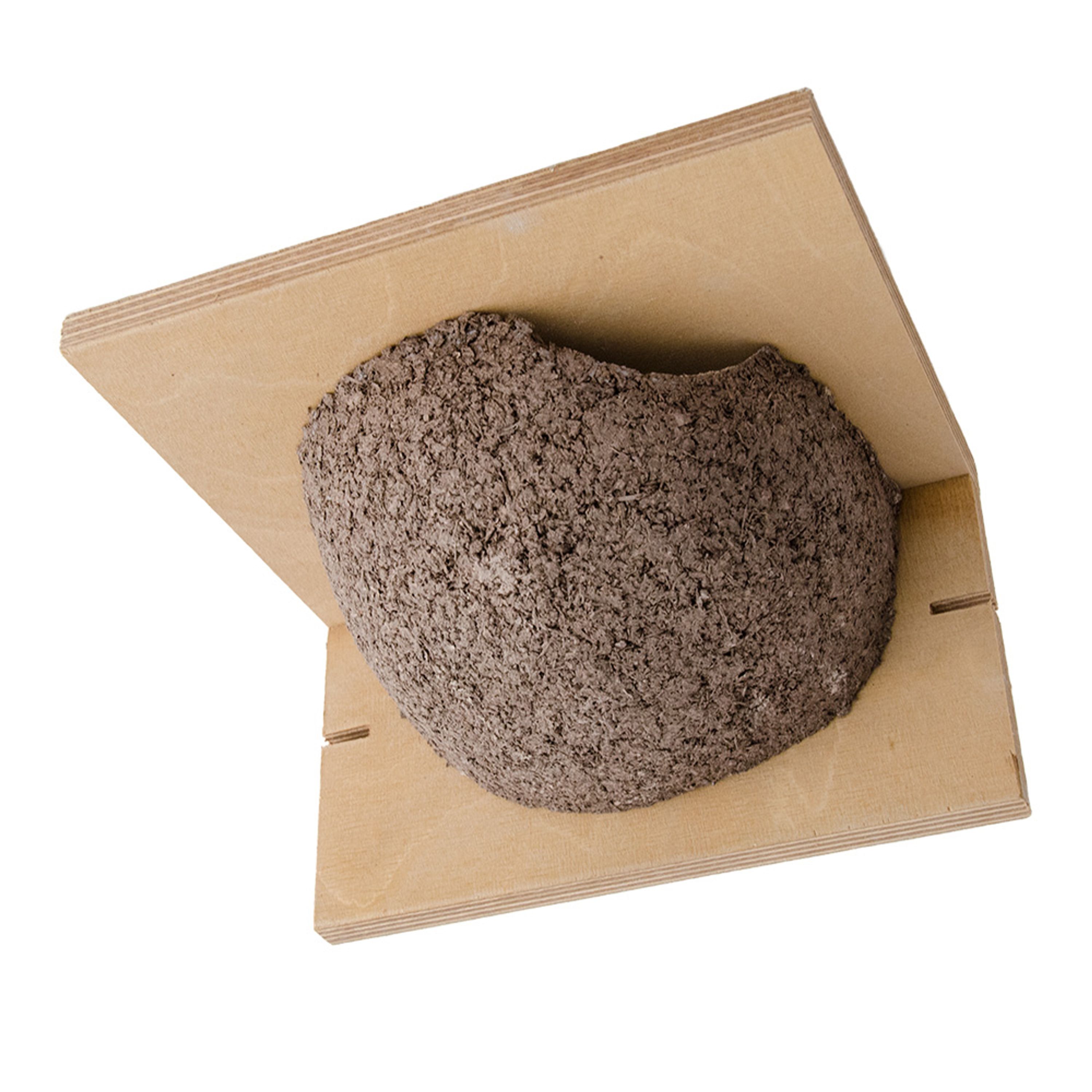 Kunstnistkasten Mehlschwalbe einzeln (Eingang rechts) | Vogelhaus Holzbeton | CJ Wildlife