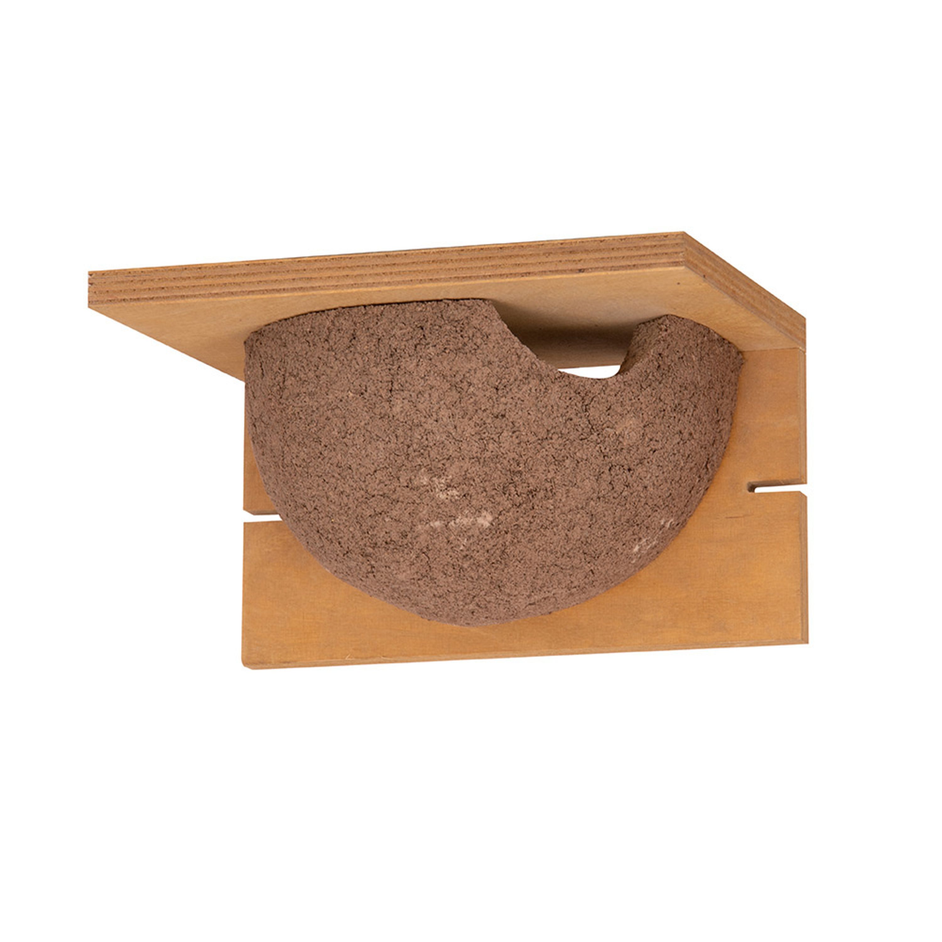 Kunstnistkasten Mehlschwalbe einzeln (Eingang rechts) | Vogelhaus Holzbeton | CJ Wildlife