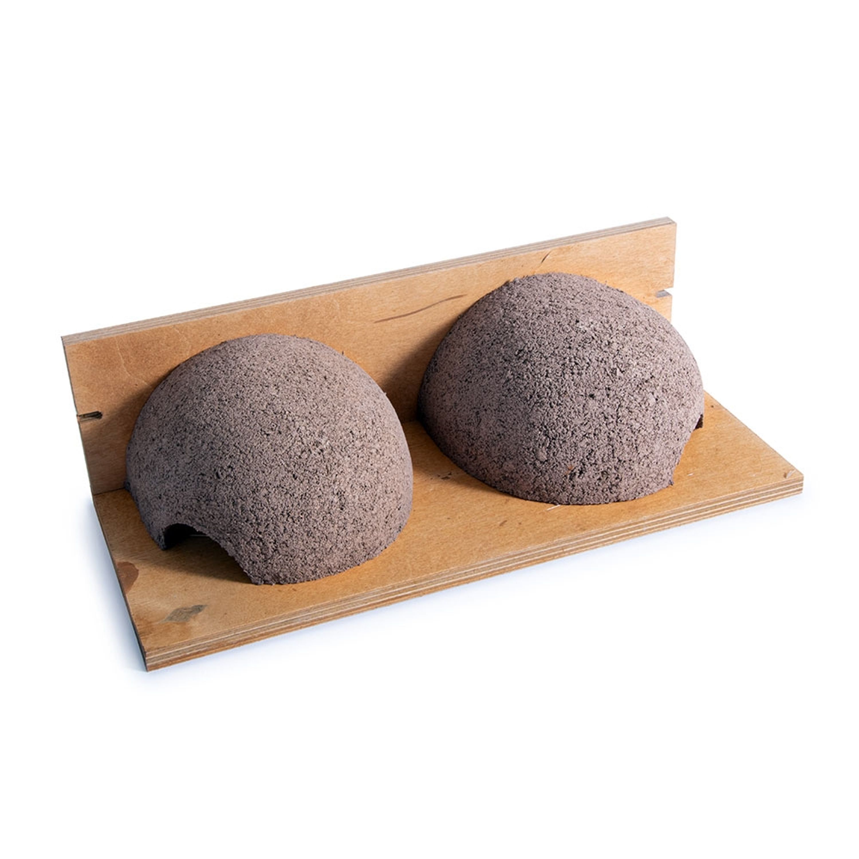 Kunstnistkasten Mehlschwalbe doppelt | Vogelhaus Holzbeton | CJ Wildlife