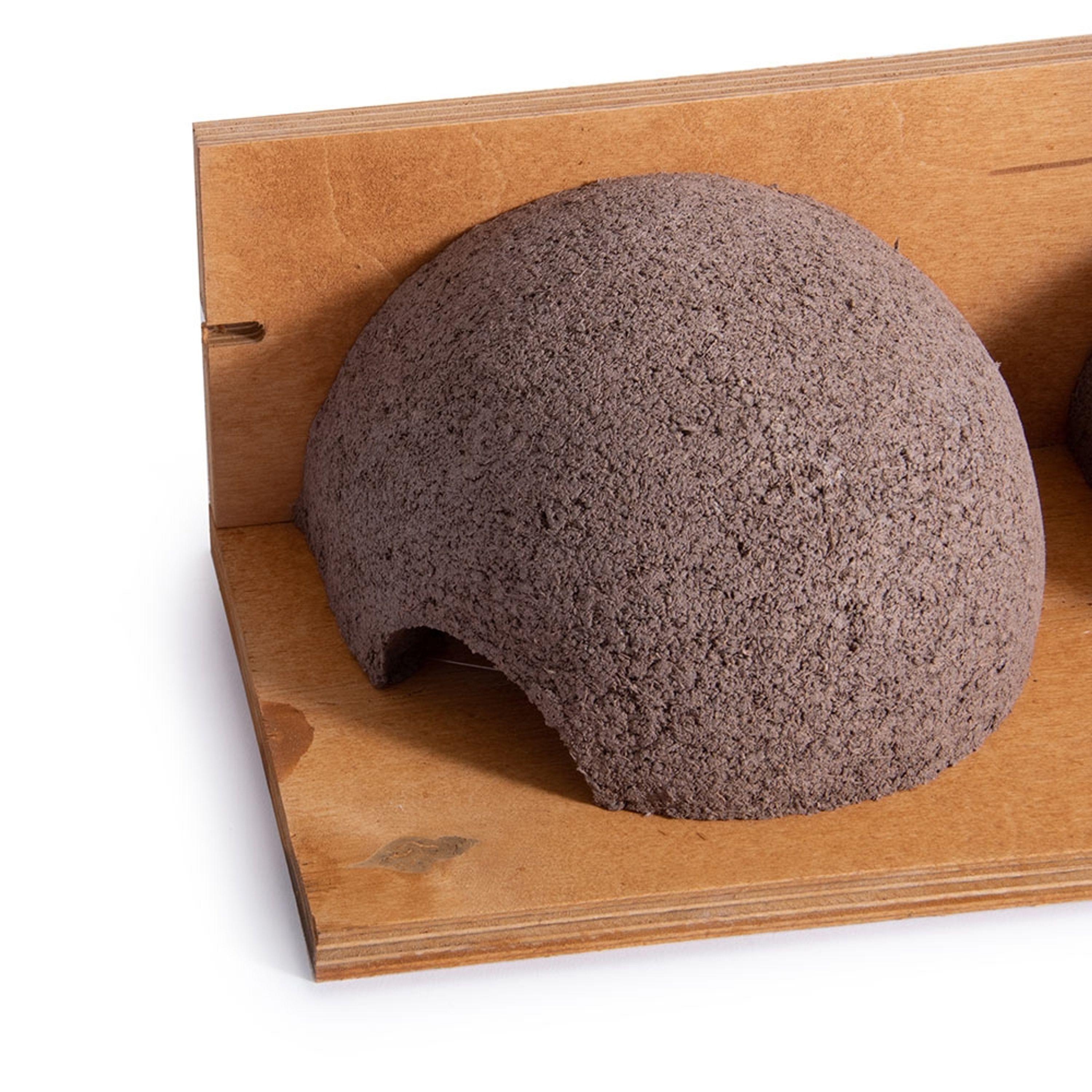 Kunstnistkasten Mehlschwalbe doppelt | Vogelhaus Holzbeton | CJ Wildlife