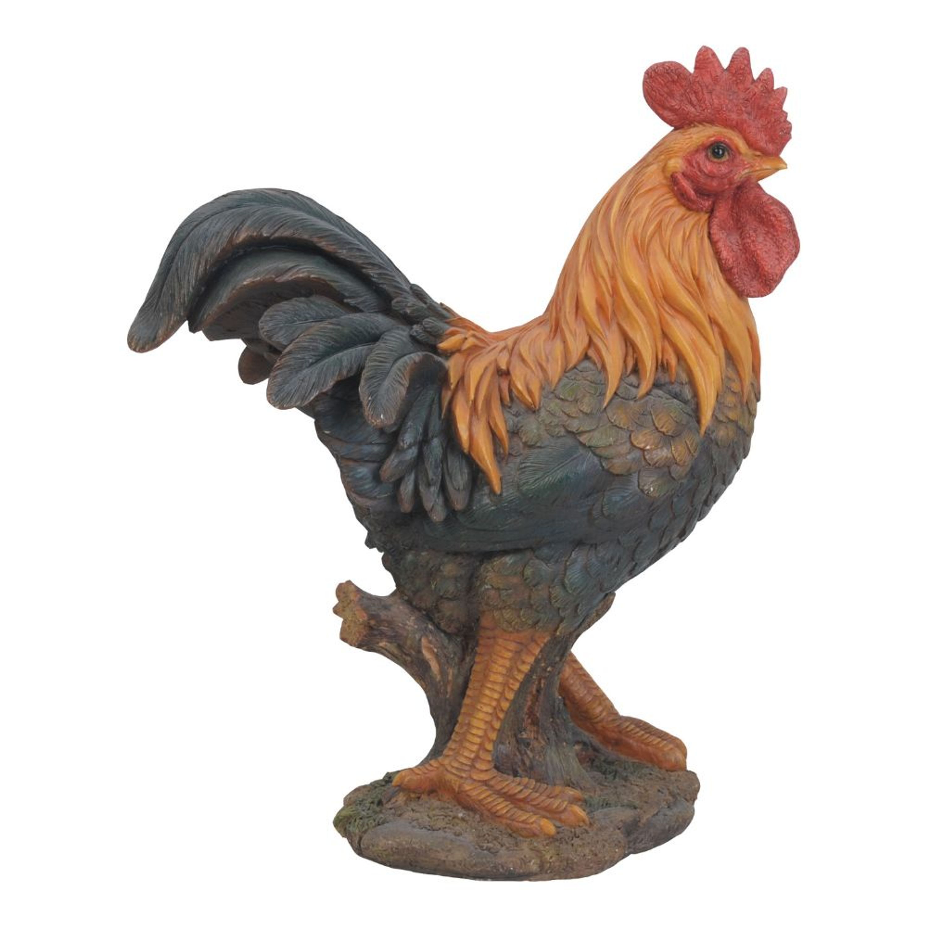 Grote haan (Polystone) | HotAnt |  | Partner van Vogelbescherming Nederland