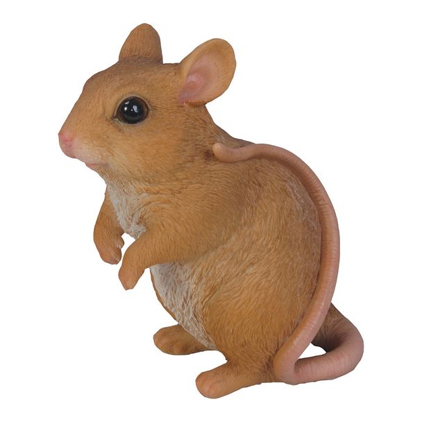 Petite souris brune (Polystone)