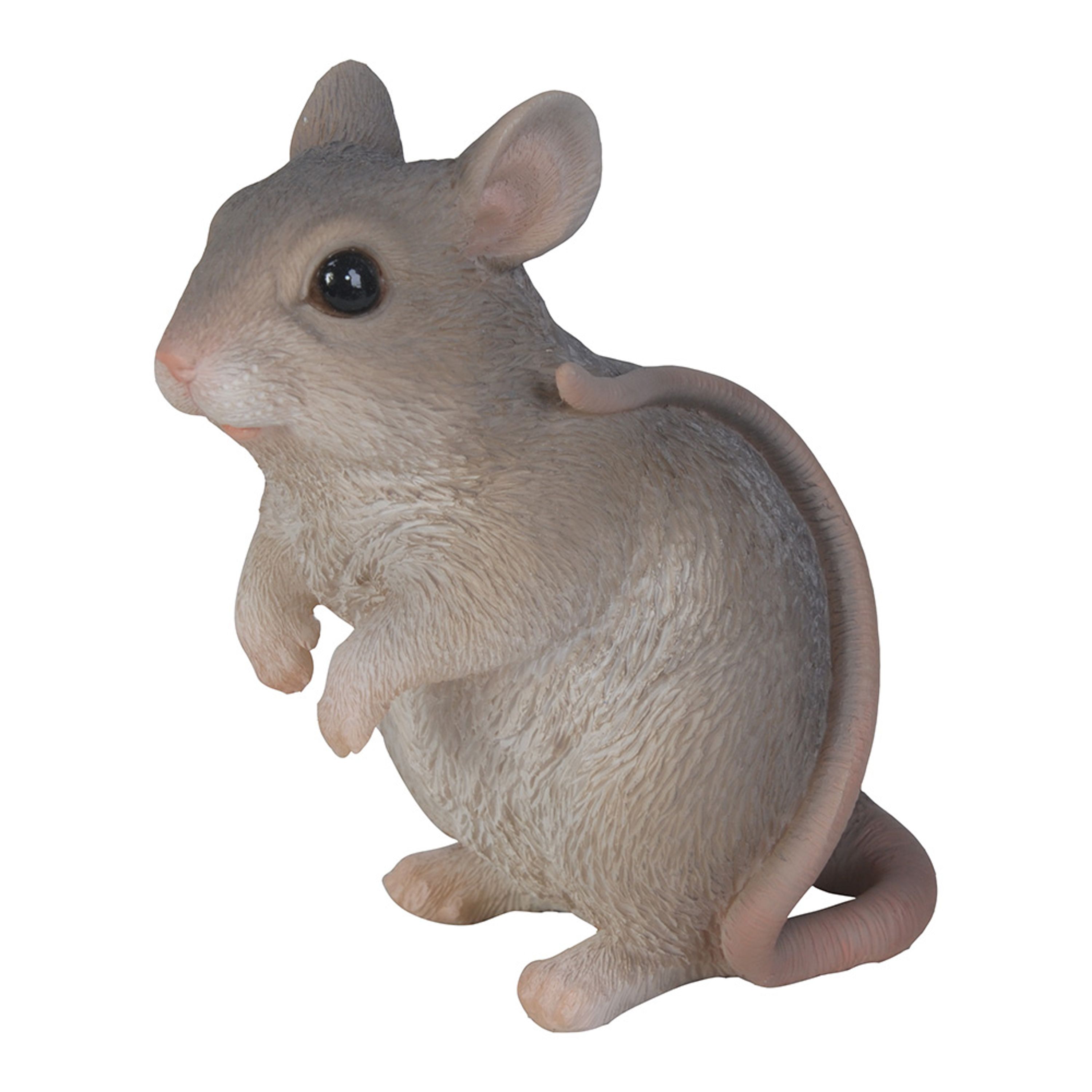 Comparer les prix de Petite souris grise (Polystone) | HotAnt