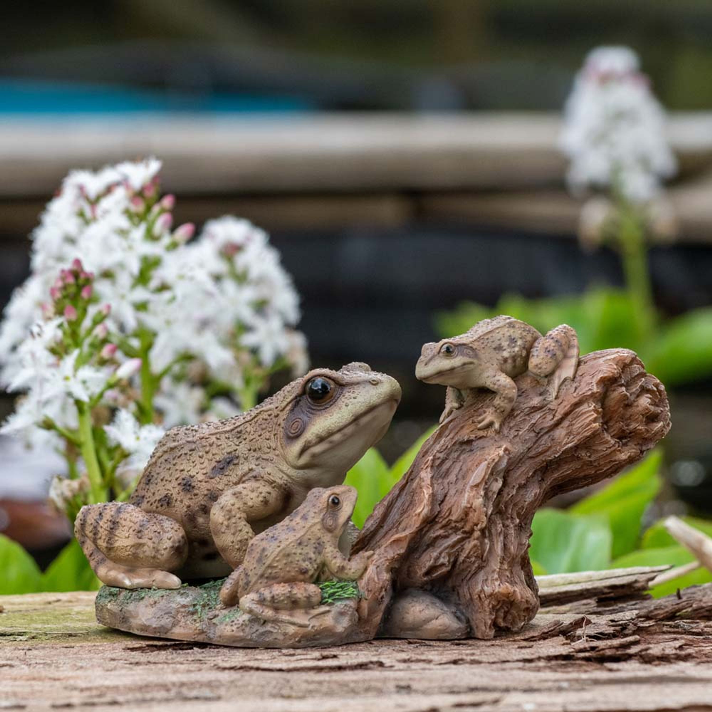 Comparer les prix de Grenouilles joueuses sur souche (Polystone) | HotAnt