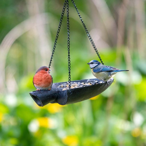 Shovel Bird Feeder With Robin Polystone