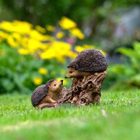 Spielende Igel (Polystone)