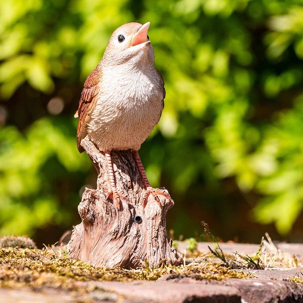 Nachtigall auf Baumstumpf mit Ton
