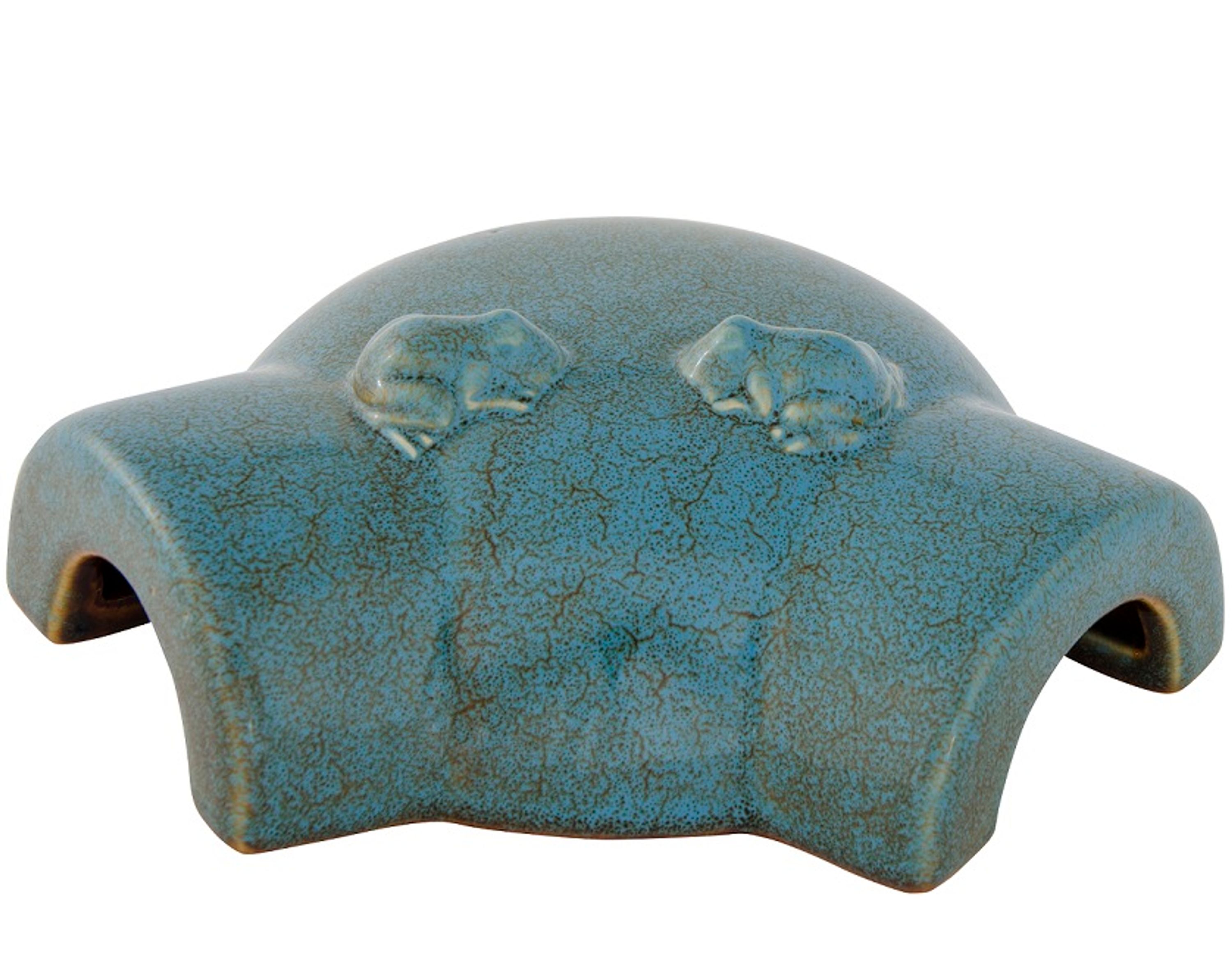 „Vierno“ Froschhaus | CJ Wildlife