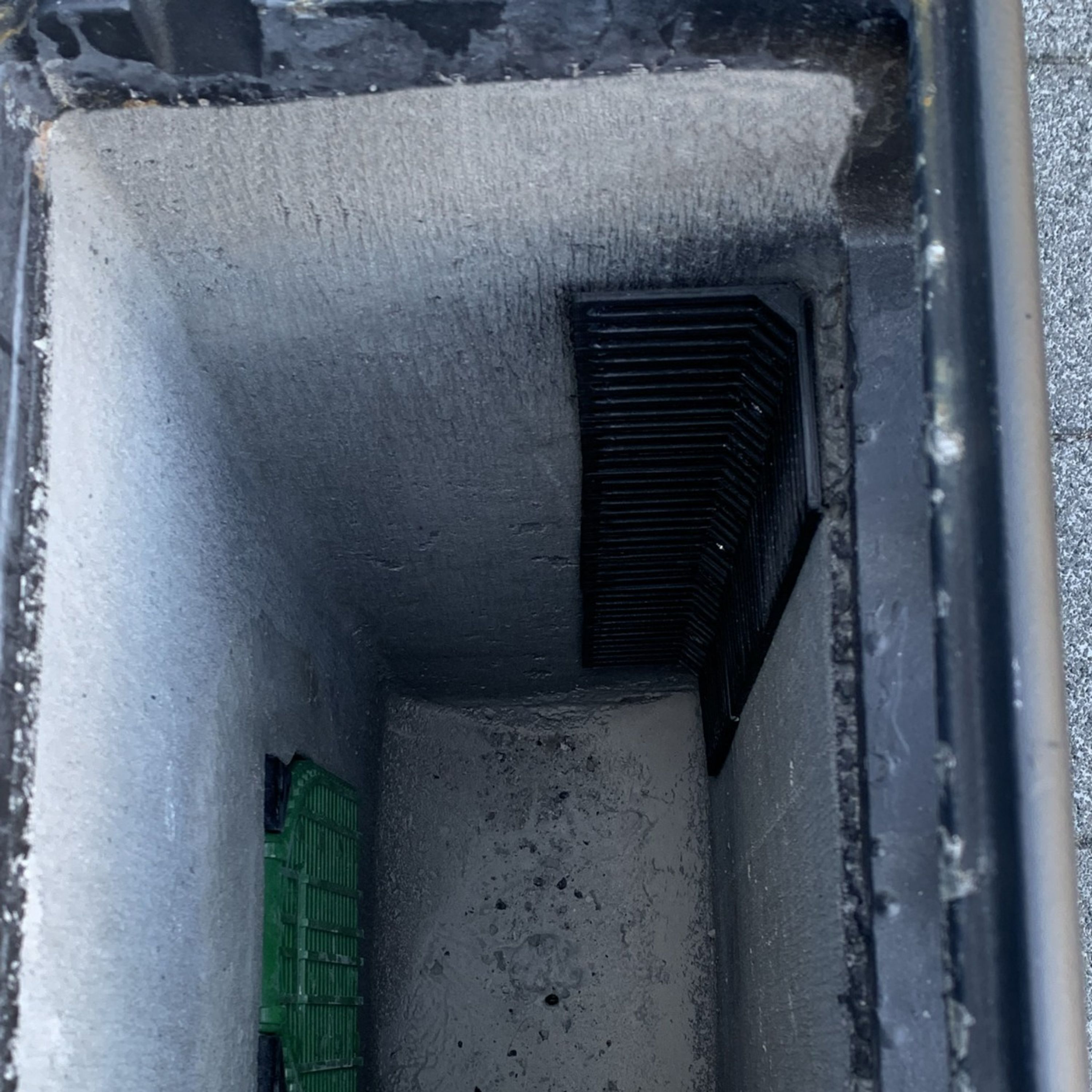 Frosch und Kroete Treppe | CJ Wildlife