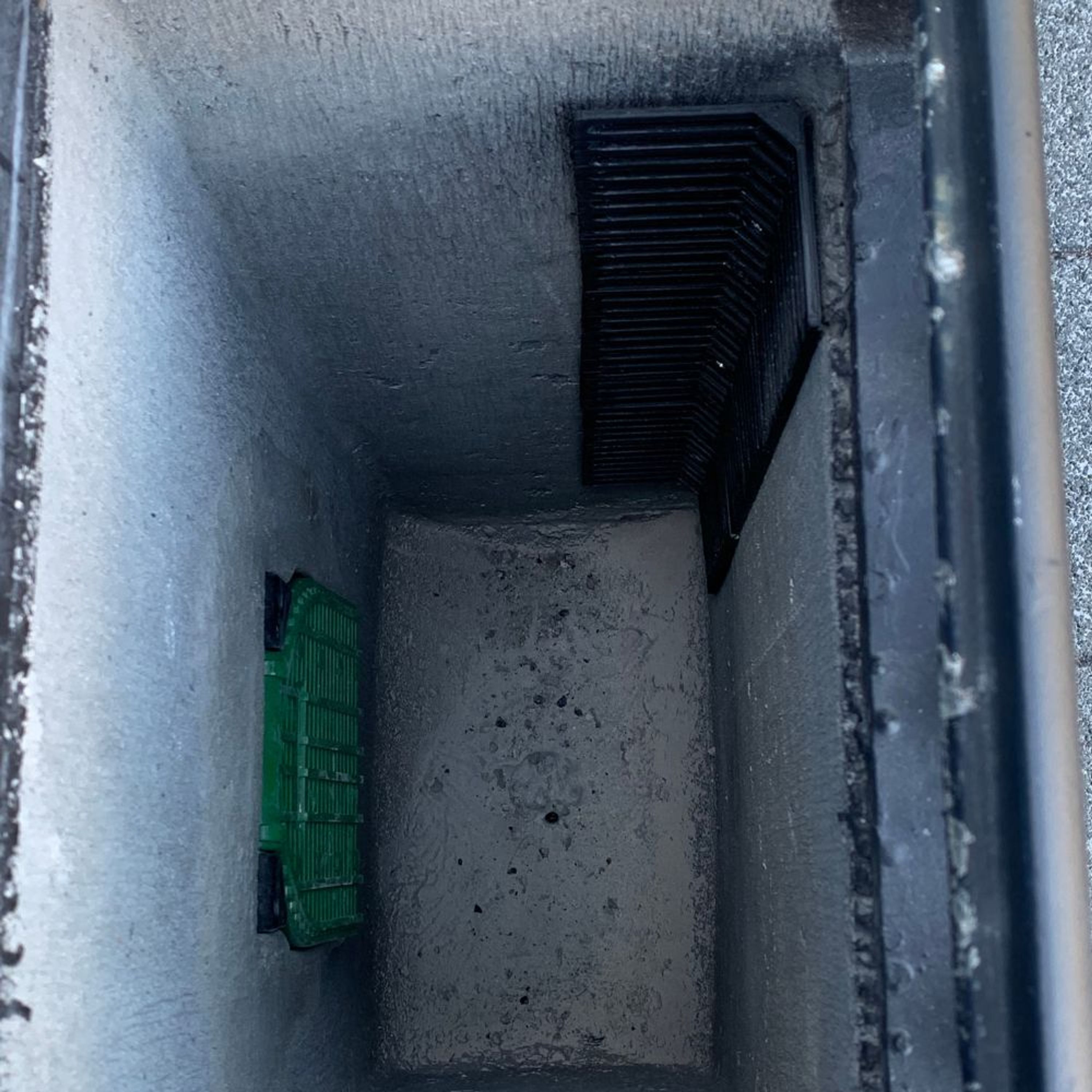 Frosch und Kroete Treppe | CJ Wildlife