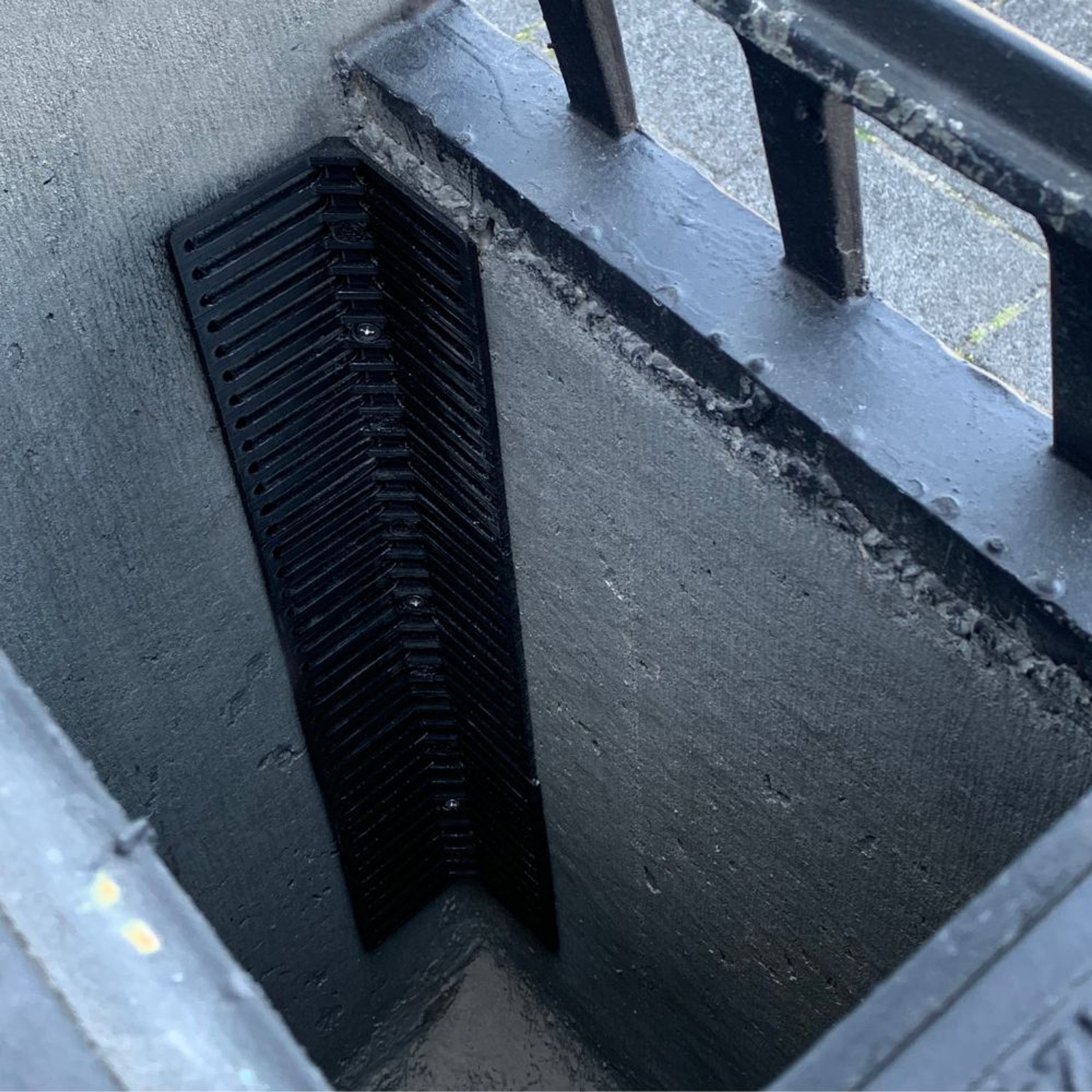 Frosch und Kroete Treppe | CJ Wildlife