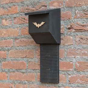 Fledermauskasten „Coucy“