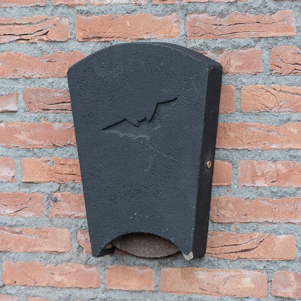 Bat Box Beaumaris Maxi WoodStone