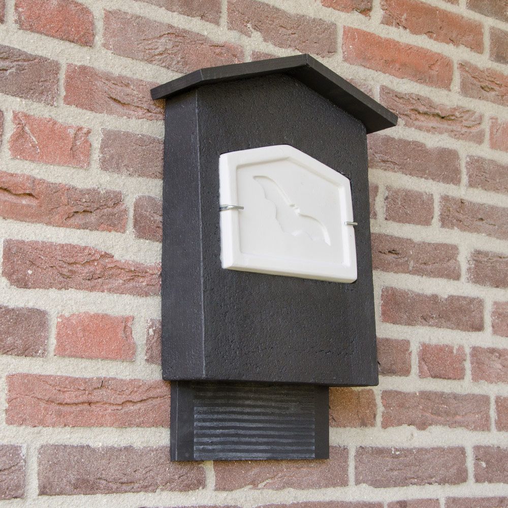 Voorzieningen voor vleermuizen bij Qbuzz - Frisia Groep