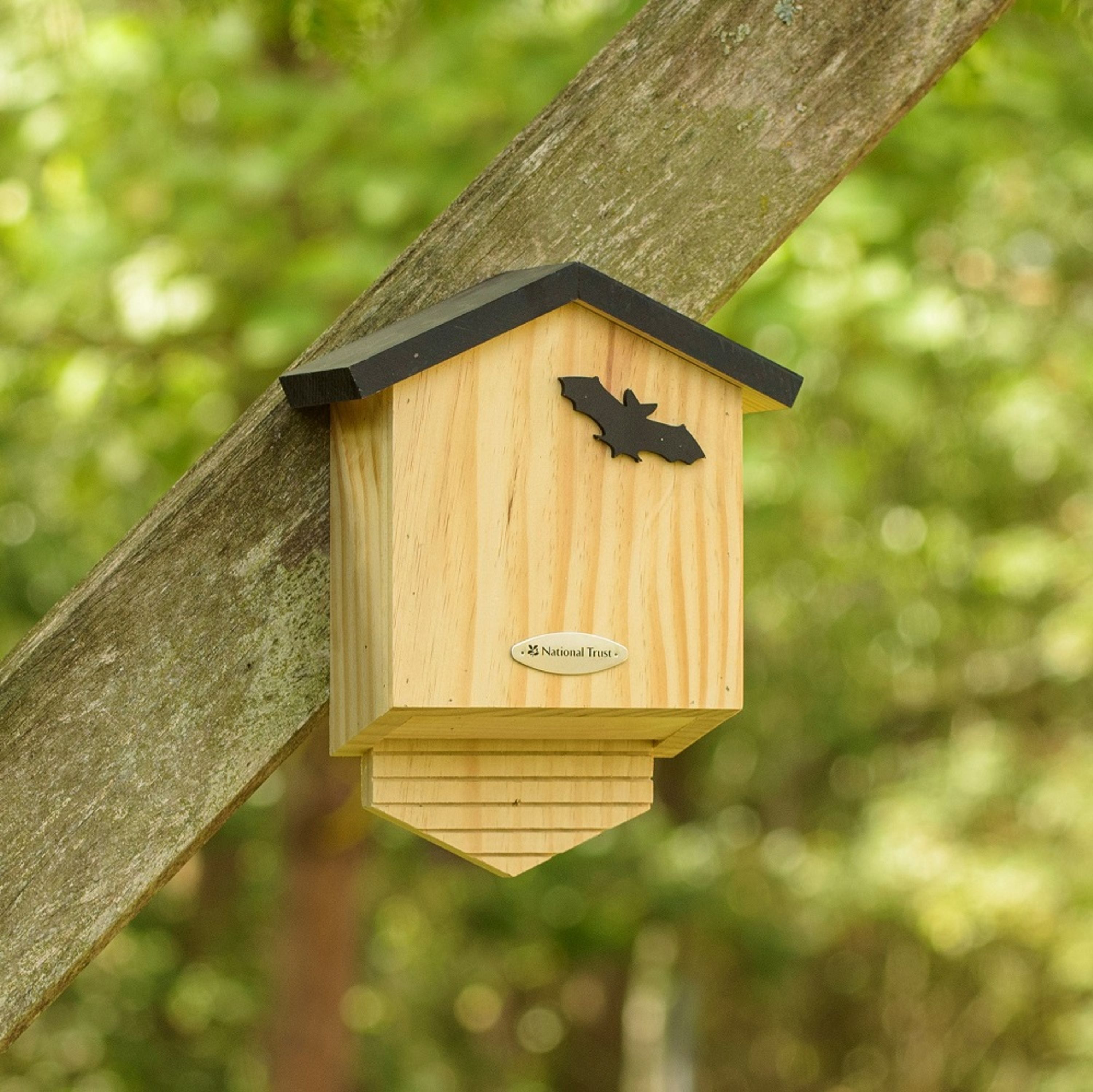 National Trust Bat Box Arundel
